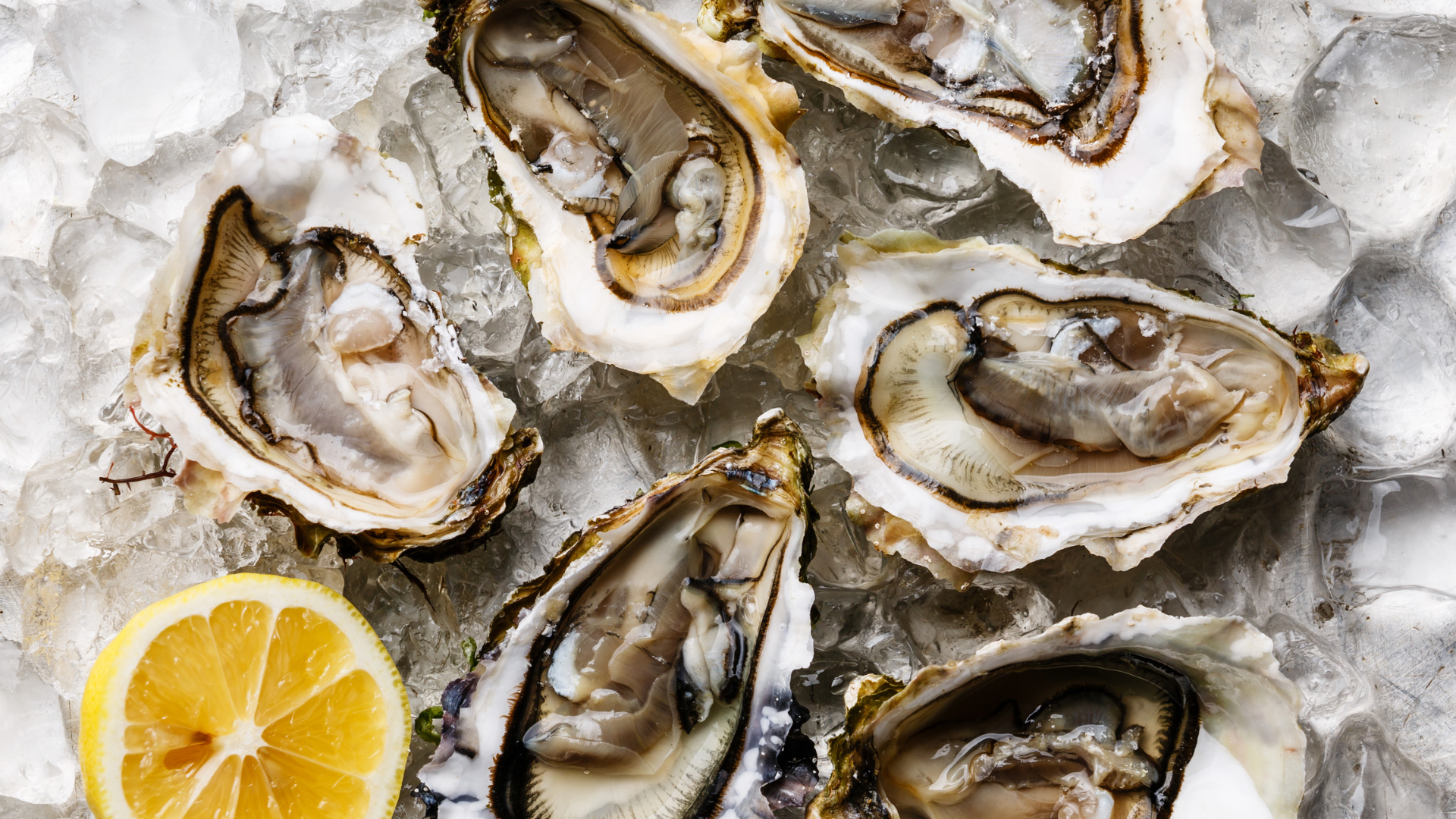 Virginia Oyster & Wine Celebration With Live Music